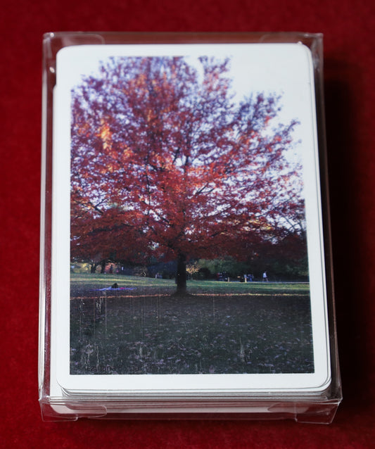 Essence of Autumn Playing Card Deck 