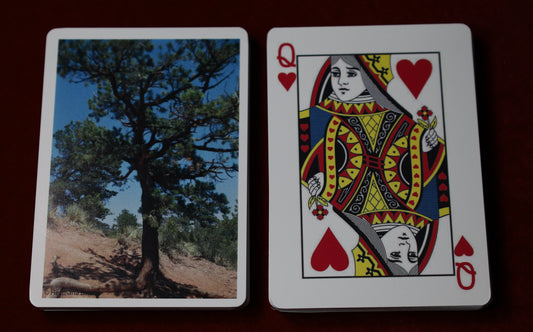 Tree of the Gods Playing Cards