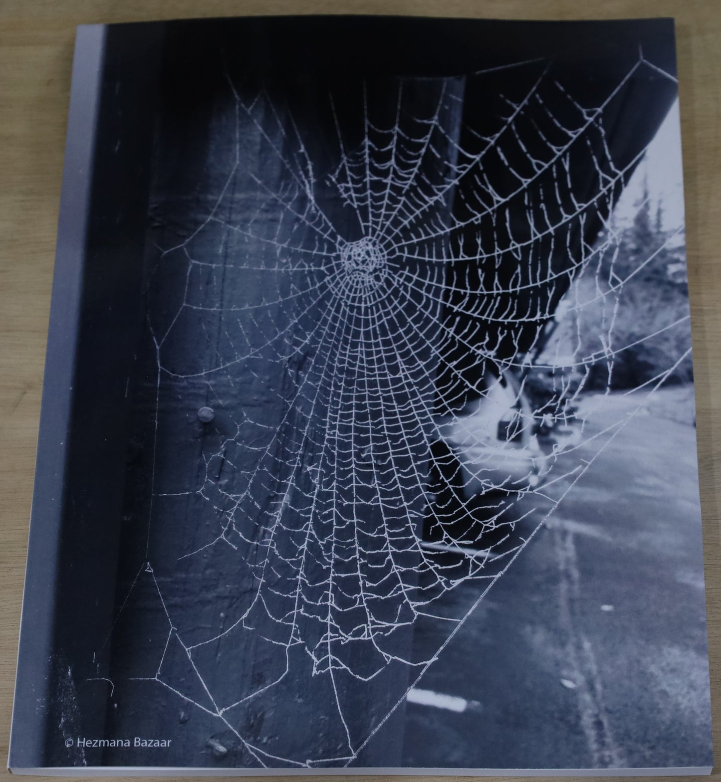 Untangling Araneidae Journal Cover